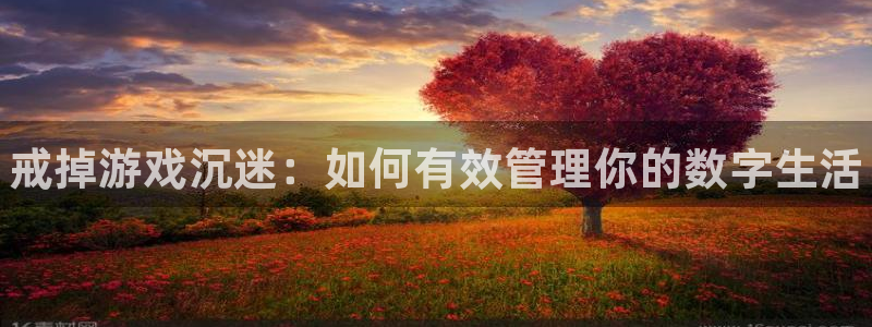 鼎点娱乐开户测速：戒掉游戏沉迷：如何有效管理你的数字生活