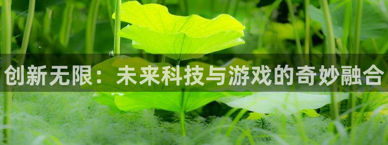 鼎点娱乐app下载：创新无限：未来科技与游戏的奇妙融合