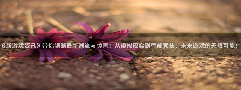 鼎点娱乐娱乐：《新游戏资讯》带你领略最新潮流与惊喜：从虚拟现