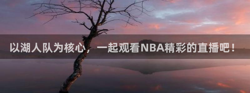 球神直播免费足球直播：以湖人队为核心，一起观看NBA精彩的直播吧！