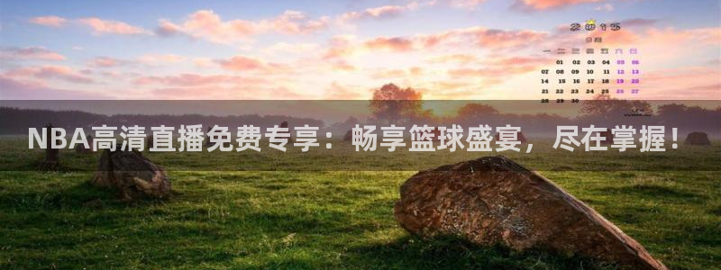 球神直播足球：NBA高清直播免费专享：畅享篮球盛宴，尽在掌握！