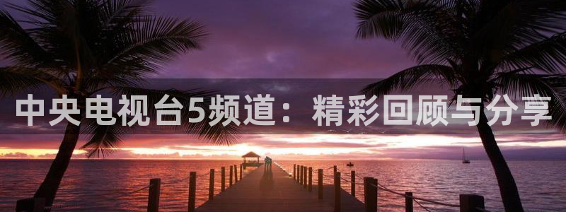 球神直播免费足球直播：中央电视台5频道：精彩回顾与分享