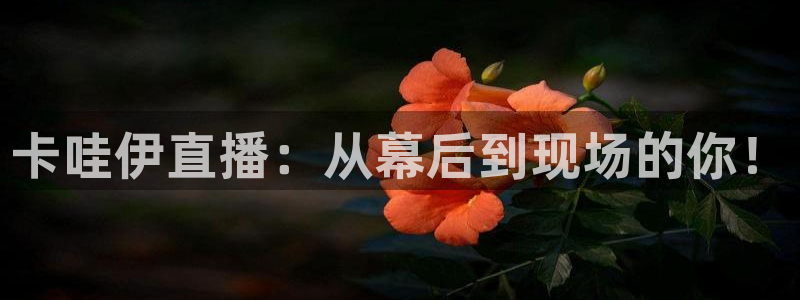 球神直播免费足球直播：卡哇伊直播：从幕后到现场的你！