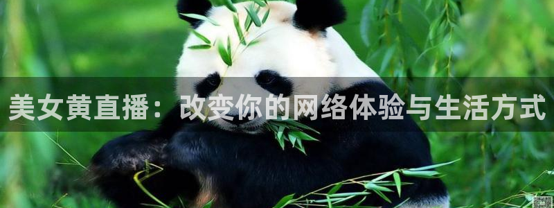 黑白直播免费高清看球神器：美女黄直播：改变你的网络体验与生活方式