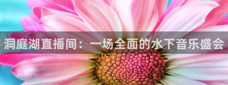 球神直播：洞庭湖直播间：一场全面的水下音乐盛会