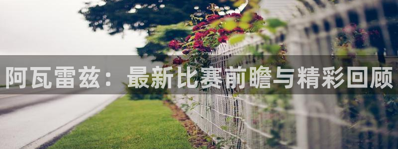 球神体育直播在线：阿瓦雷兹：最新比赛前瞻与精彩回顾