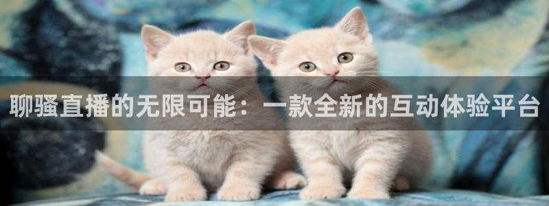 nba直播球神直播：聊骚直播的无限可能：一款全新的互动体验平台
