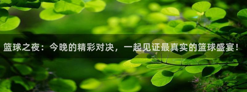 球神直播体育在线观看网址：篮球之夜：今晚的精彩对决，一起见证最真实的篮球盛宴！