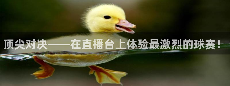 球神在线直播：顶尖对决——在直播台上体验最激烈的球赛！