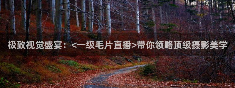 球神直播在线直播免费观看：极致视觉盛宴：<一级毛片直播>带你领略顶级摄影美学