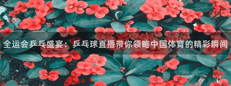 球神直播网：全运会乒乓盛宴：乒乓球直播带你领略中国体育的精彩瞬间