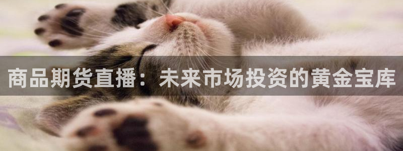 球神足球直播：商品期货直播：未来市场投资的黄金宝库