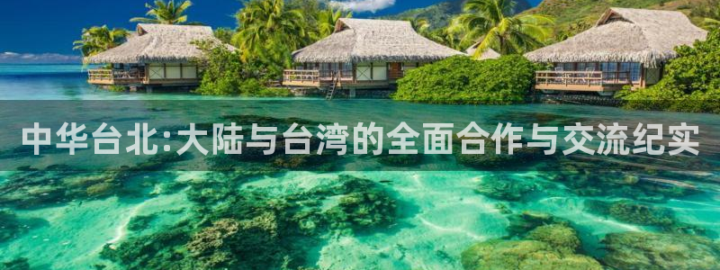球神在线直播：中华台北:大陆与台湾的全面合作与交流纪实