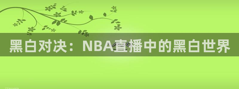 球神直播体育：黑白对决：NBA直播中的黑白世界
