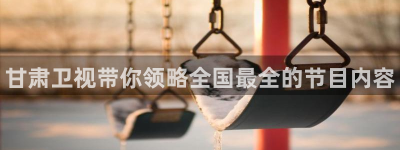 球神直播网免费直播在线观看：甘肃卫视带你领略全国最全的节目内容