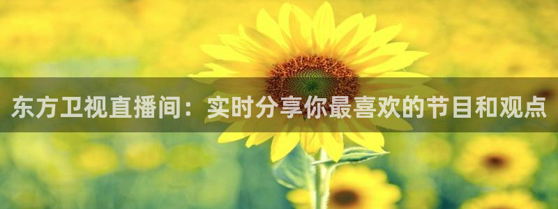 球神直播足球直播：东方卫视直播间：实时分享你最喜欢的节目和观点